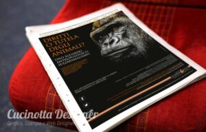 Impaginazione grafica giornale