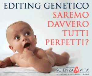 Gif Animate per i giornali online