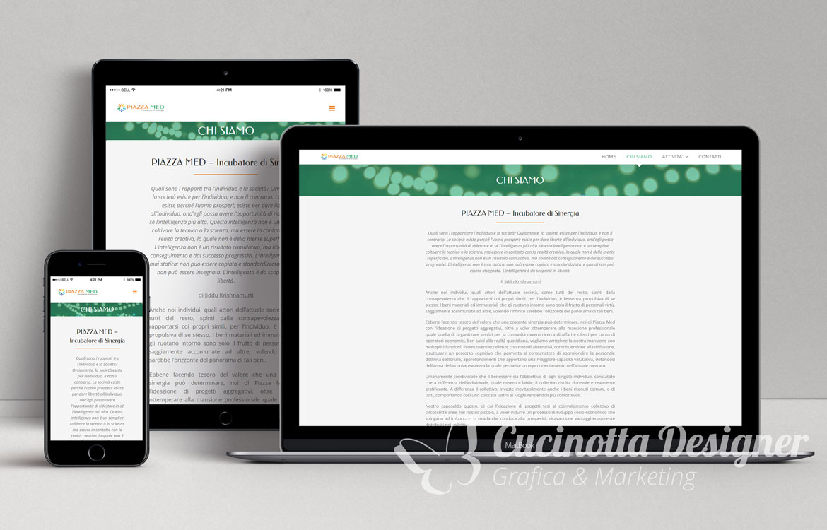 grafica sito web piazza med chi siamo