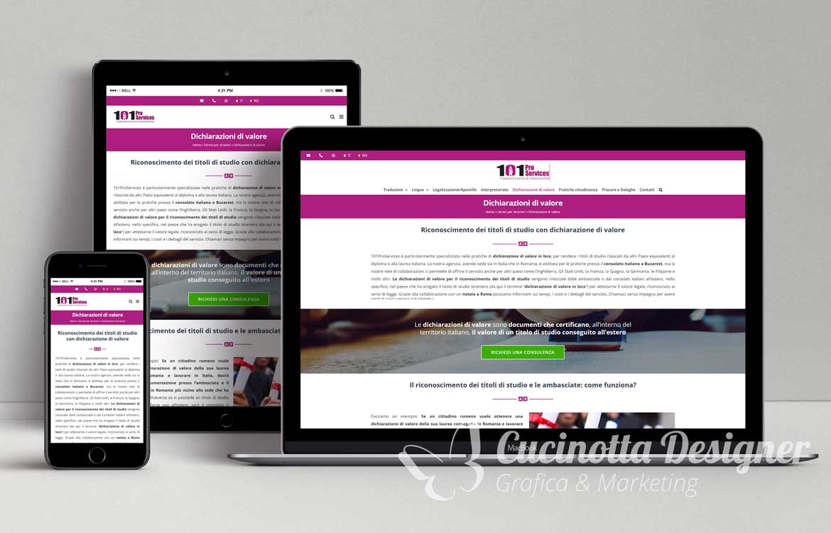 mockup grafica sito web 101proservices dichiarazione di valore